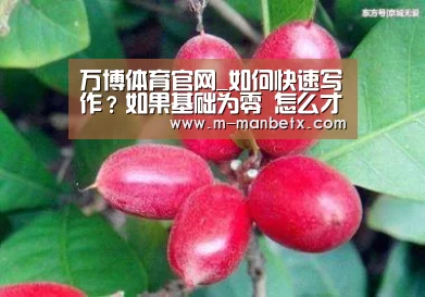 万博体育官网_如何快速写作?如果基础为零 怎么才能做到又聪明又快?(图2) manbetx体育官网
