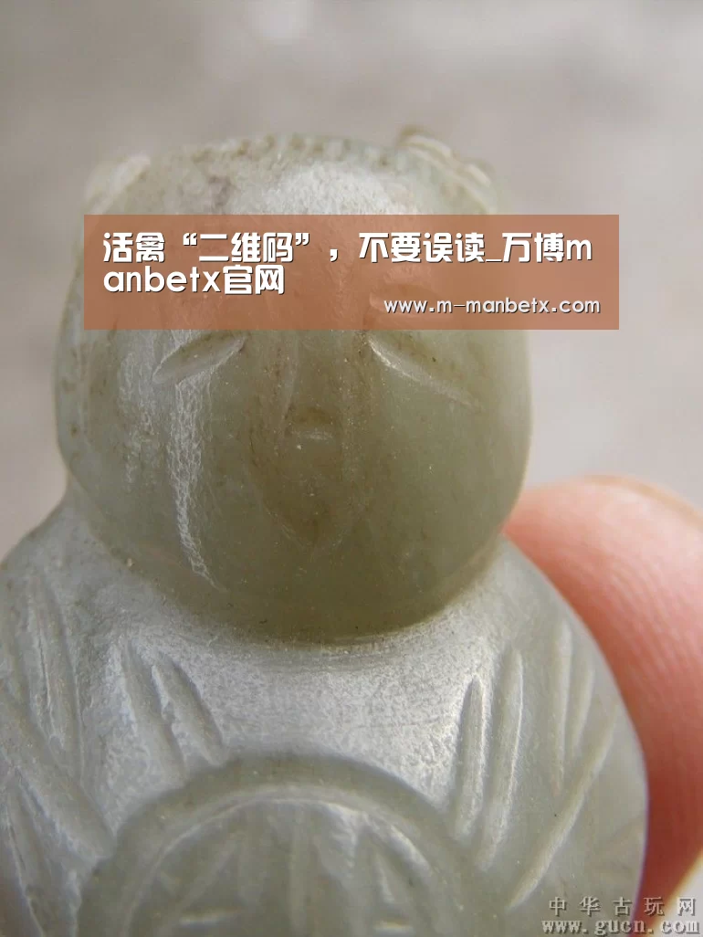 活禽“二维码”,不要误读_万博manbetx官网(图1) manbetx体育官网
